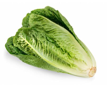 Wholegood Organic Fennel