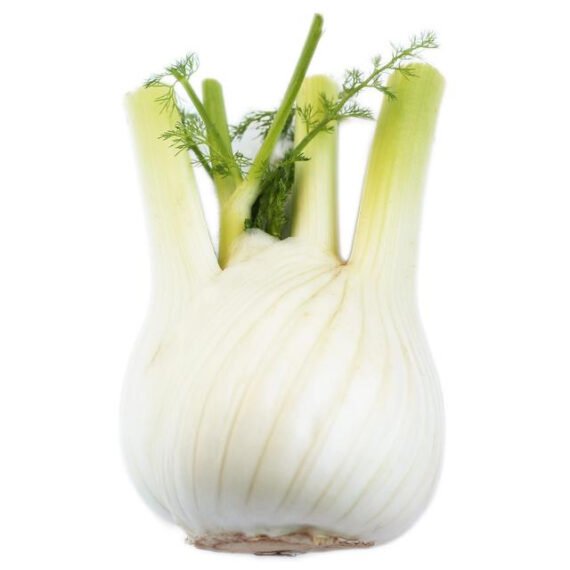 Seedless Lemon – Image 3