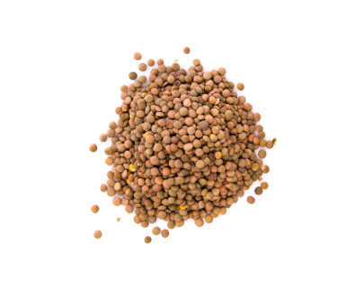 FENUGREC ENTIER 100G