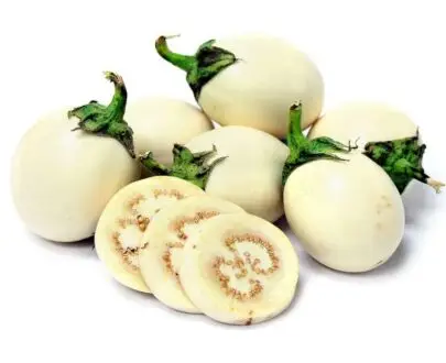 Alternative view of AUBERGINE BLANCHE