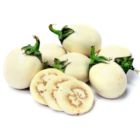 AUBERGINE BLANCHE – Image 2