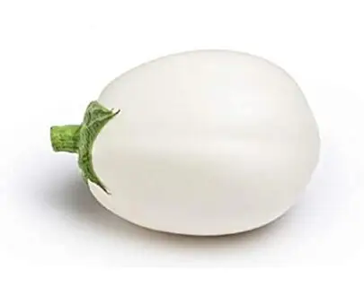 AUBERGINE BLANCHE
