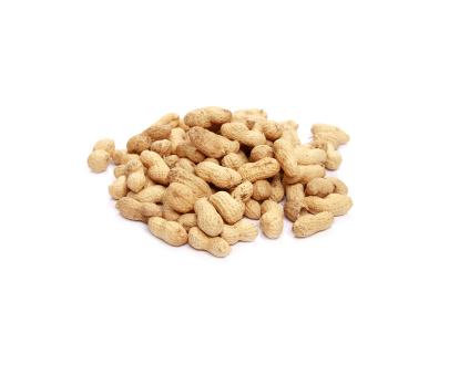 ARACHIDE FRAICHE