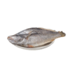 POISSON CAPITAINE COUPE