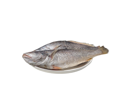 POISSON CAPITAINE COUPE