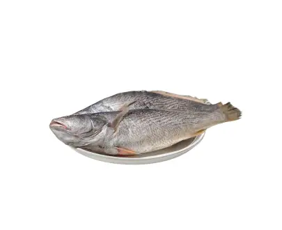 POISSON CAPITAINE COUPE