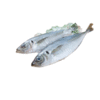 POISSON CHINCHARD