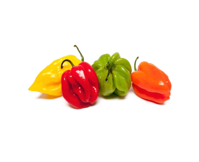 PIMENT FRAIS