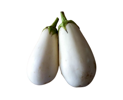 AUBERGINE BLANCHE