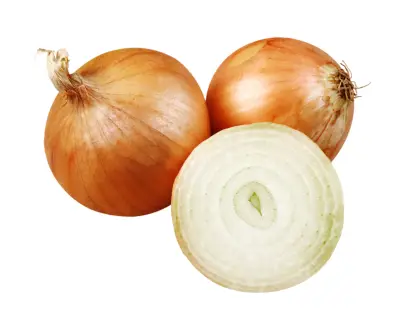 OIGNON