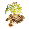 Graines de Moringa – 40g